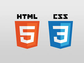 HTML CSS JS Course at Madipakkam